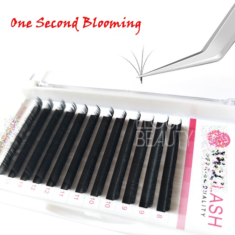 camellia eye lash extensions wholesale.jpg